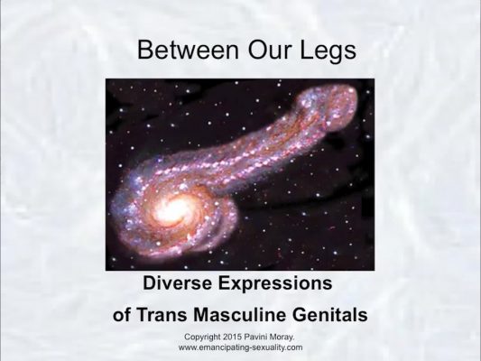 Between Our Legs – Diverse Expressions of Trans-Masculine Genitals
