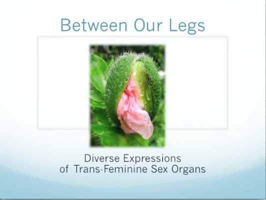 Between Our Legs – Diverse Expressions of Trans-Feminine Sex Organs